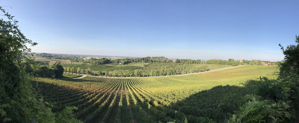 Fattoria Paradiso Bertinoro Eksteriør billede